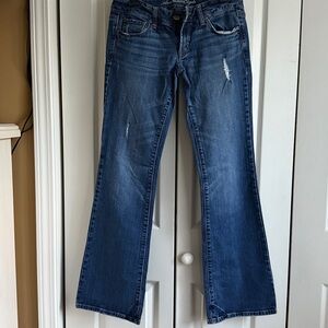 American Eagle Outfitters Blue Flare Jeans
